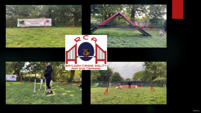 Dog Agility for Newcomers - The Next Jump – Screenshot 4