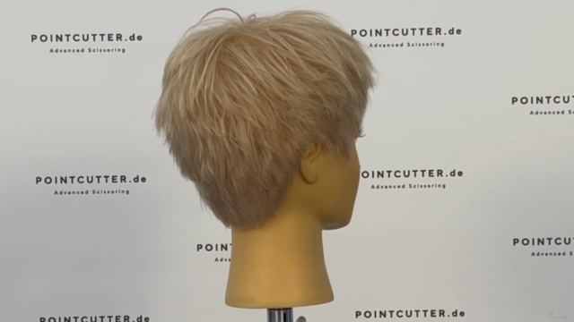 Strong Textured Pixie Haircut - Become a Haircutter Unit 13 - Screenshot_02