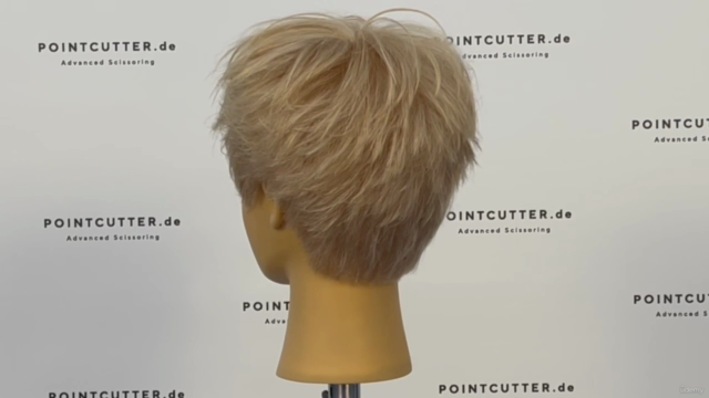 Strong Textured Pixie Haircut - Become a Haircutter Unit 13 - Screenshot_03