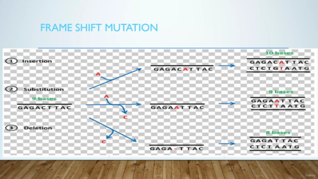 DNA Damage concepts – Screenshot 1