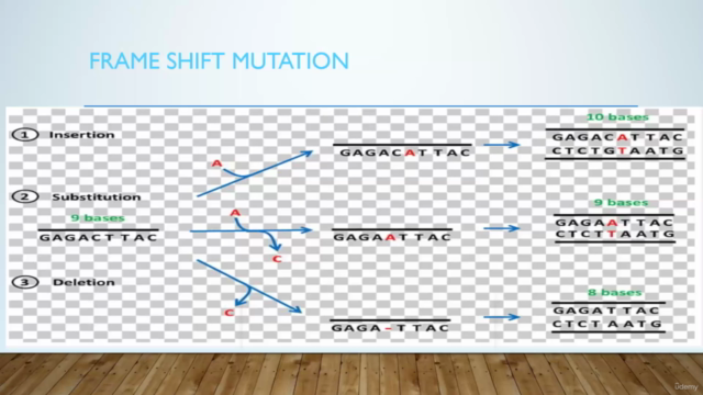 DNA Damage concepts – Screenshot 2