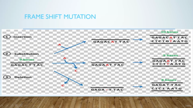 DNA Damage concepts – Screenshot 4