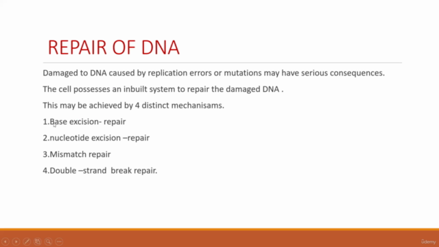 DNA REPAIR CONCEPTS – Screenshot 4