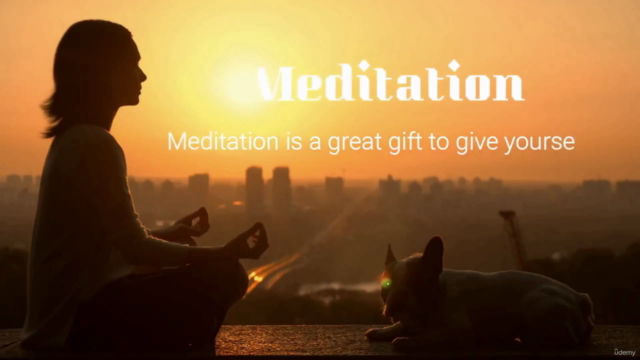 Meditation: Meditation Practitioner Certification Course – Screenshot 1