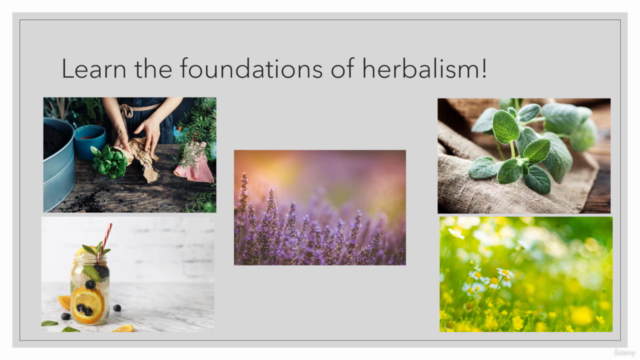 Introduction to Herbalism and Herbal Preparations – Screenshot 1
