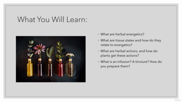 Introduction to Herbalism and Herbal Preparations – Screenshot 3