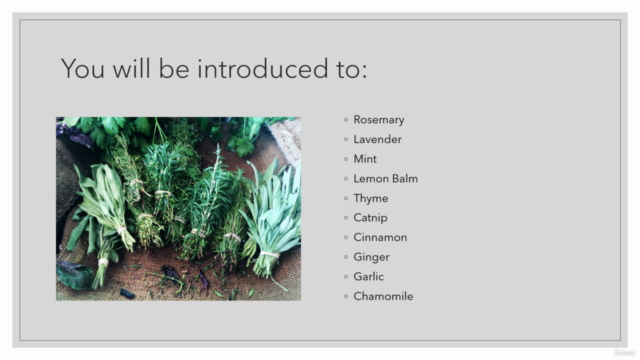 Introduction to Herbalism and Herbal Preparations – Screenshot 4