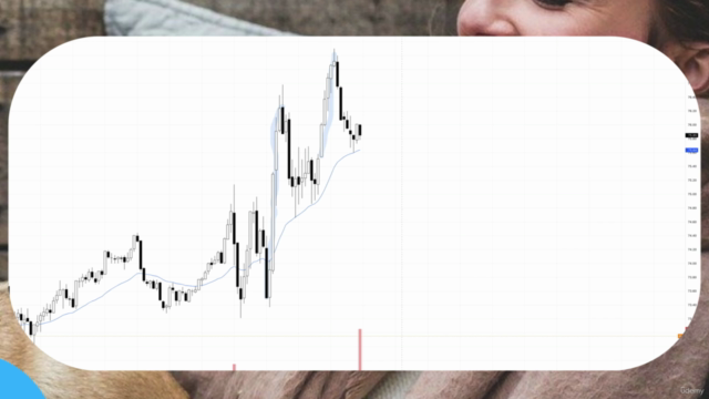Day & Swing Trading mit Supply und Demand ( inkl. Ebook ) – Screenshot 2