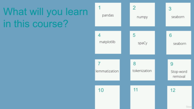 Introduction to Natural Language Processing in Python [2024] – Screenshot 2