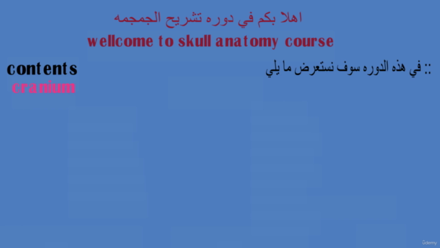 Skull anatomy - Screenshot_01