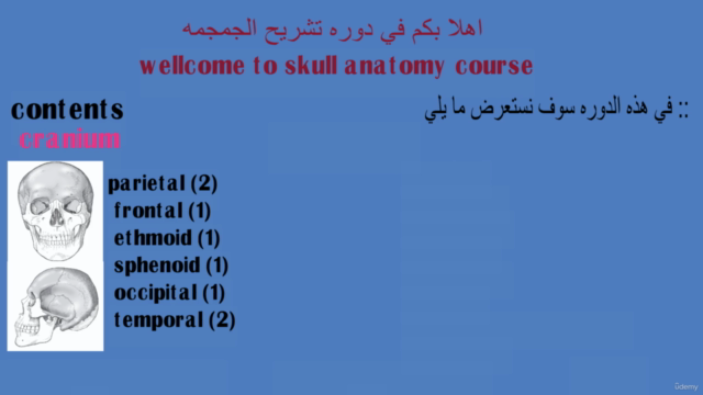Skull anatomy - Screenshot_02