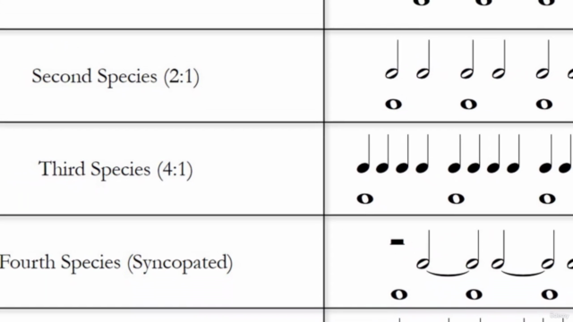 Counterpoint 1 – Screenshot 2