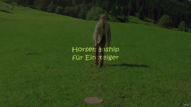 Horsemanship für Einsteiger – Screenshot 1