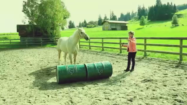 Horsemanship für Einsteiger – Screenshot 3