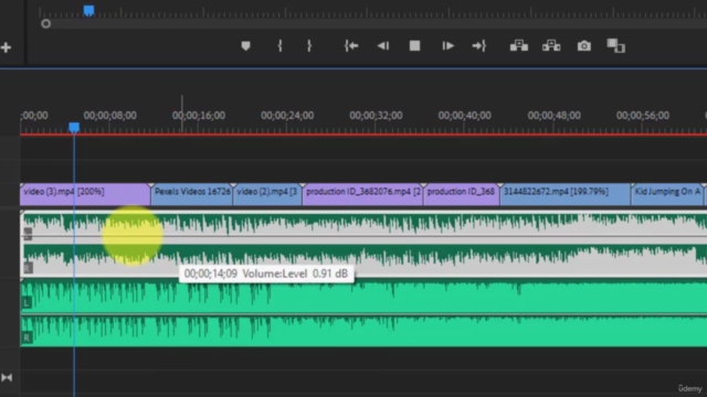 Certificate Course on Video Editing: Adobe Premiere Pro CC – Screenshot 1