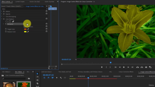 Certificate Course on Video Editing: Adobe Premiere Pro CC – Screenshot 3