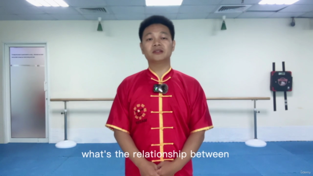 Master Hang's Tai Chi – Screenshot 4