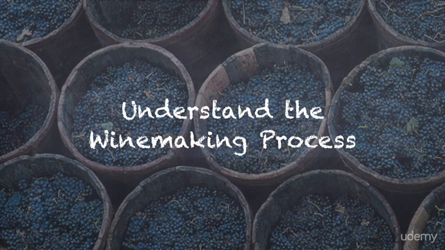 Wine in One Hour – Screenshot 2