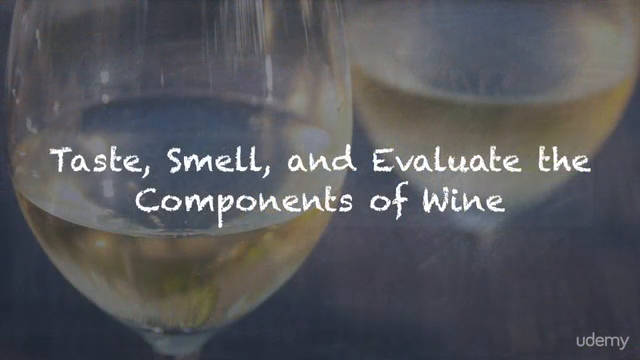 Wine in One Hour – Screenshot 3