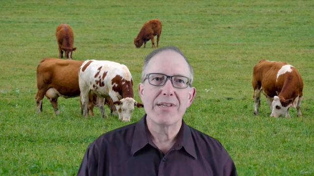 Are Carbon Offsets Helping Tackle Climate Change? – Screenshot 4