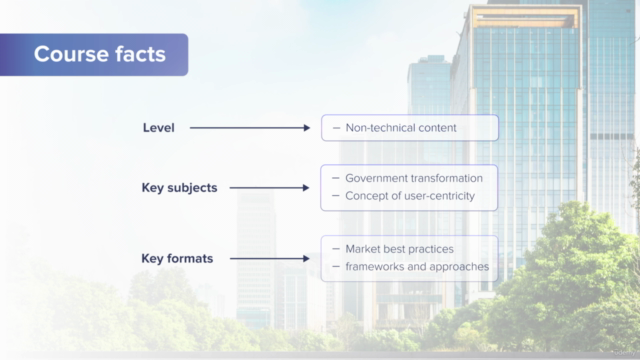 Digital Government: Designing customer centric organization – Screenshot 2