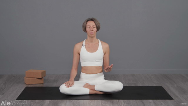 Yoga para principiantes para hacer en casa – Screenshot 2