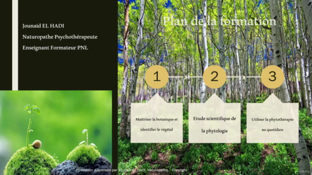 Phytothérapie : Maitriser la médecine des plantes – Screenshot 1