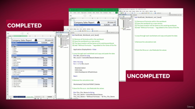Excel VBA and Macros - Beginner to Professional – Screenshot 3