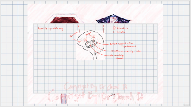 Human Anatomy and Physiology 02: General Chemistry – Screenshot 3