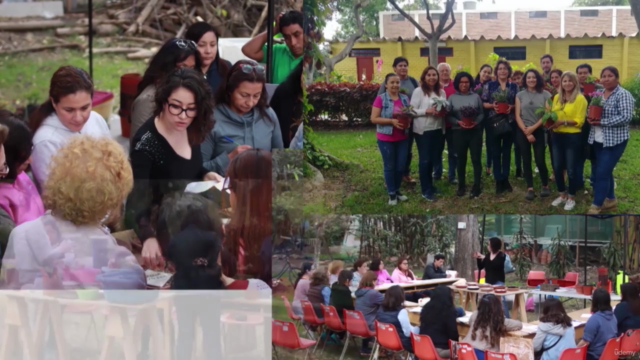 Curso de Jardinería - Cuidado Básico de las Plantas – Screenshot 1