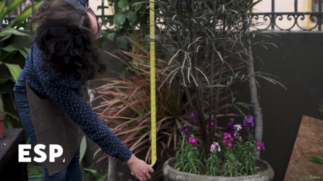 Curso de Jardinería - Cuidado Básico de las Plantas – Screenshot 3