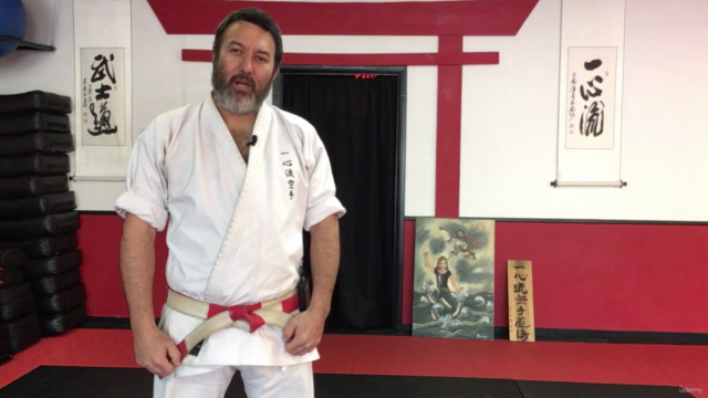 Karate Kicks Every Karateka Needs to Know – Screenshot 1