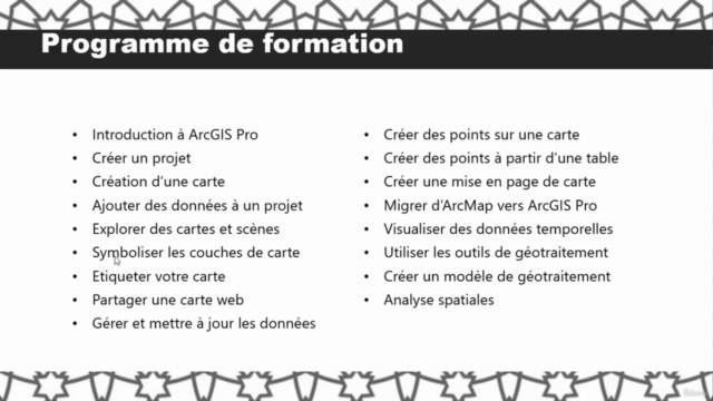 ArcGIS Pro : Devenir un expert SIG avec le logiciel (A to Z) – Screenshot 2