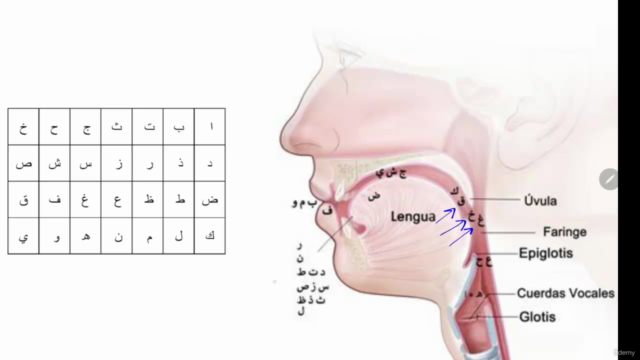 Curso de árabe – Nivel 0 – Screenshot 1