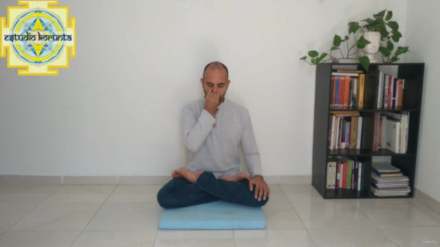 Certificado de Meditación y Yoga Nidra - Yoga Alliance YACEP – Screenshot 2