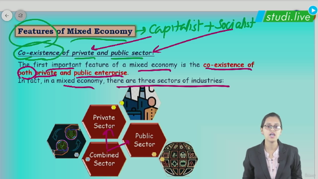 Eco - Basic Problems of an Economy & Role of Price Mechanism – Screenshot 1