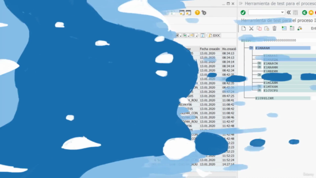 SAP EDI / IDOC Completo en Español – Screenshot 4