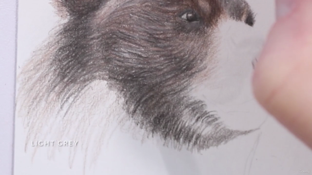 Colored Pencil Brown Bear Drawing Class - Screenshot_01