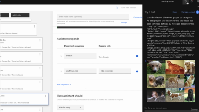 Watson Assistant: Construa o seu chatbot do zero – Screenshot 3