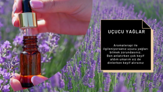 Aromaterapi ve uçucu yağlar – Screenshot 2