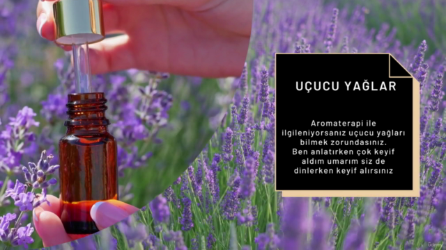 Aromaterapi ve uçucu yağlar – Screenshot 3