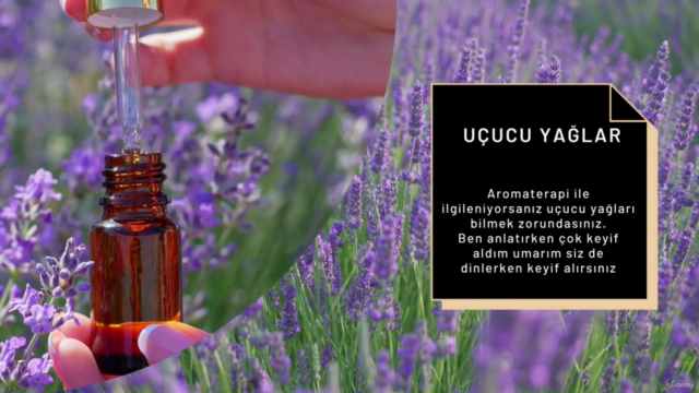 Aromaterapi ve uçucu yağlar – Screenshot 4