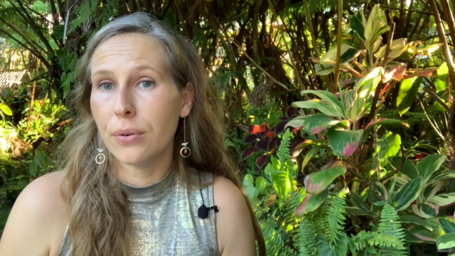 Reiki Daily Practice- 30 Days of Reiki Energy Healing Course – Screenshot 4