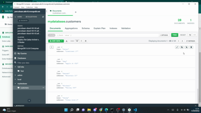 Python dengan MongoDB – Screenshot 4