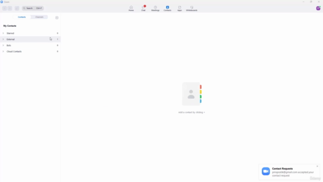 Learning Zoom from Scratch – Screenshot 3