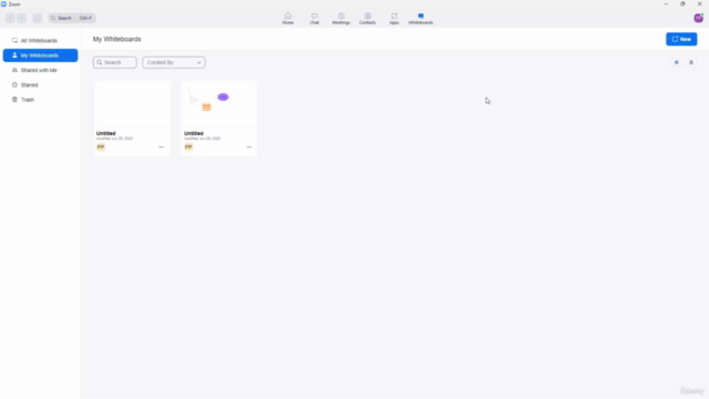 Learning Zoom from Scratch – Screenshot 4
