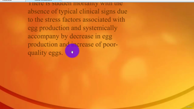 poultry farming Bacterial diseases hindering satisfying prod - Screenshot_03