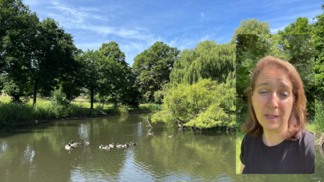 Magical, Musings Meditations and Observations – Screenshot 3