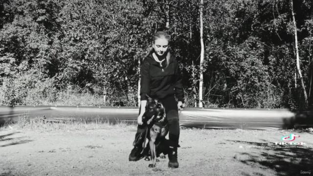 K-9 Unterordnung Basics & Grundlagen – Screenshot 4