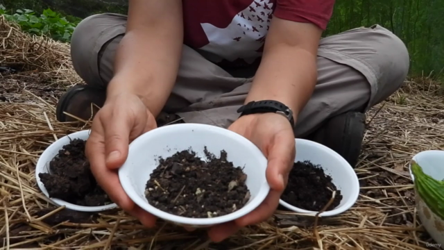 Soil-First Gardening: How to Grow Black Gold in the Backyard - Screenshot_02